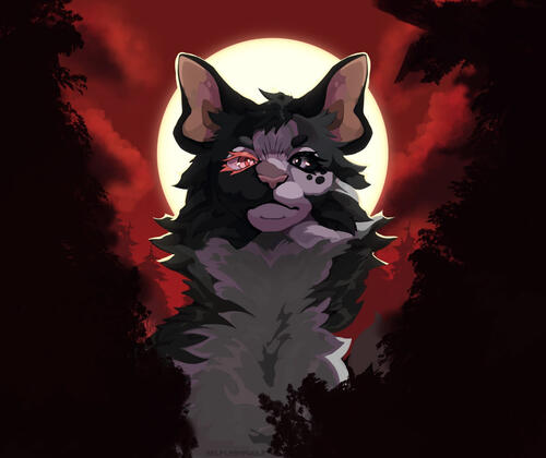 meio corpo completo + fundo